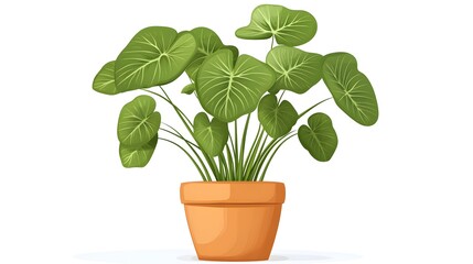 Fototapeta premium Lush Clorofitum Plant in Pot on White Background for Interior Decor and Gardening Ideas