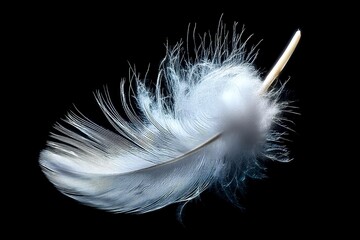 Obraz premium A single white feather floating in the air on a black background, with detailed feathers and soft