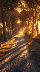 Obraz premium Warm and serene nature scene of a forest trail in autumn colors