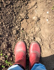 Red boots on garden soil: gardening and farming concept
