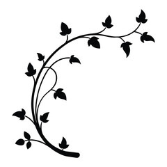 Elegant Border of Climbing Floral Vines Silhouette