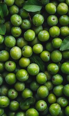 Fresh Green Plums Pile Closeup Ripe Garden Fruit, Vibrant Colors, Organic Harvest Heap