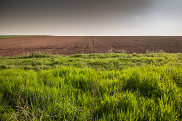 Freshly ploughed brown field on Titelski Breg,in titel, serbia meets a strip of lush green grass...