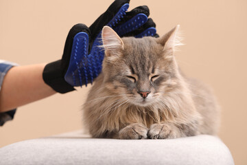 Woman brushing her cat with grooming glove on bench against beige background, closeup