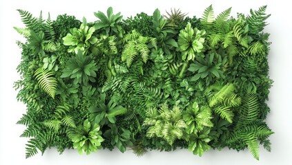 Fototapeta premium Lush Green Foliage Wall Overhead Shot Various Shades of Green Leaves and Ferns White Background
