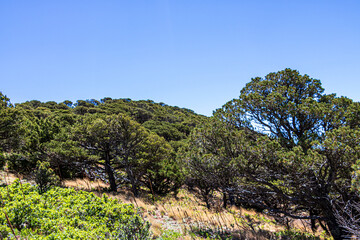 Landscape seen from Crater Rim Trail at Capulin Volcano National Monument.