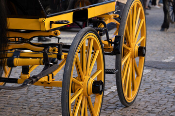 Detail of a Carriage coupling traditional event © Mauro Rodrigues