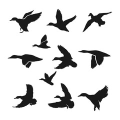 Obraz premium Hand drawn animals silhouette set collection