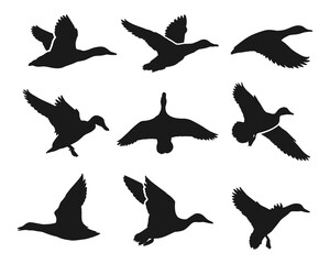 Hand drawn animals silhouette set flat design