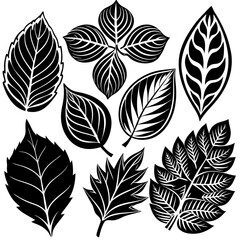 Silhouette Leaf Icons Collection
