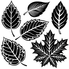 Silhouette Leaf Icons Collection