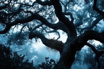 A majestic ancient oak tree shrouded in mist, a bird's nest nestled high in its branches.