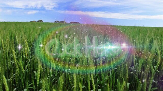 Lush green wheat field being animated with rainbow lens flare and glowing white sparkles