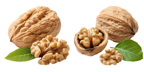 Fresh Walnuts in Shell and Shelled with Green Leaves on White Background