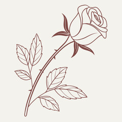 Rose Flower Outline Drawing Vector Design Element Floral Decoration Graphics