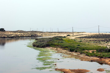 view of natural marshlands © Mauro Rodrigues