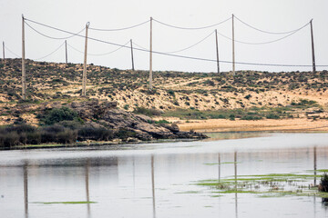 view of natural marshlands © Mauro Rodrigues