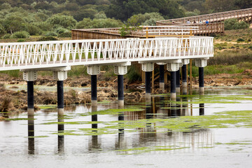 Bridge crossing through natural marshlands © Mauro Rodrigues