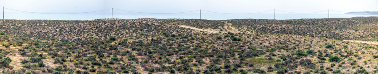 Beautiful sand vegetation in the Algarve © Mauro Rodrigues