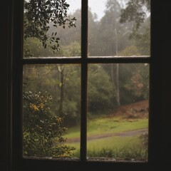 Rainy day view from a window