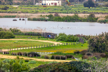view of natural marshlands © Mauro Rodrigues