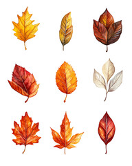 Obraz premium Highly detailed illustrations of various trees, leaves, grasses, and botanical elements, featuring realistic, minimalist, and abstract compositions on a white background.