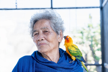 Happy smile senior woman with a colorful Sun Conure parrot bird sitting on her shoulder. Ideal for exotic birds, pet photography, or wildlife portraits.