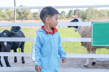 Cute little boy spending a day with the animals on farm. Little boy feeding little goat on a kids farm. Closeup.