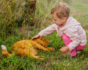 Child gently interacts with a playful orange cat in a grassy outdoor setting during a sunny day