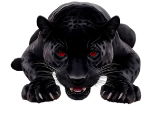 Black Panther Isolated Photo Realistic Image Transparent Background