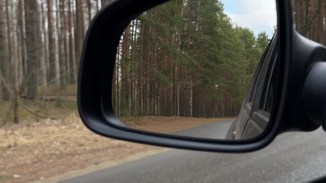 Wing mirror reflecting pine forest and asphalt road while driving away
