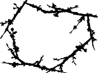 Abstract Decorative Floral Frame Illustration Background PNG