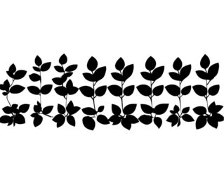 Abstract Decorative Floral Line Art Background Illustration