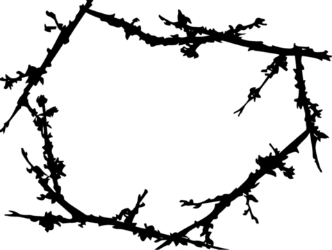 Abstract Decorative Floral Frame Illustration Background PNG