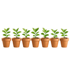 Seven identical vibrant green seedlings sprout from rich brown soil in a perfect row of terracotta pots.