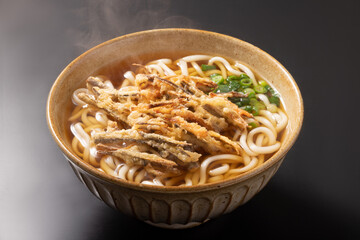 ごぼう　かき揚げうどん