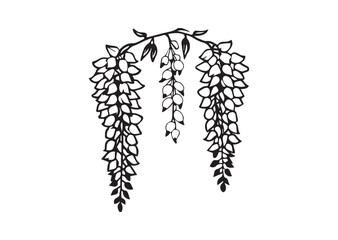 Wisteria flowers silhouette vector
