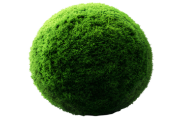 3D Illustration Of A Green Sphere With Moss Texture, Isolated Background