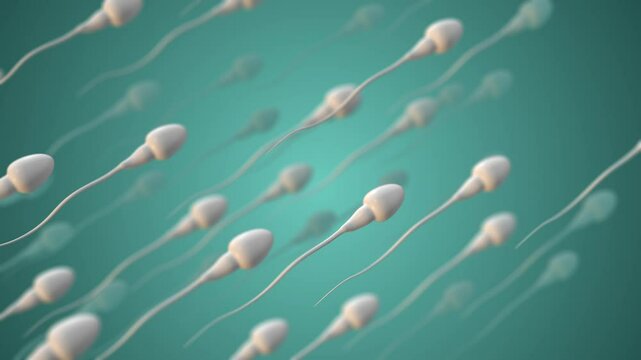 Porno semiz eshaklar anal double Issiq busty rus godak mashinada qoydi oladi, birinchi mashinalar joyida! Suhbatdosh