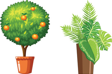 Set of different plants in pots isolated on white background
