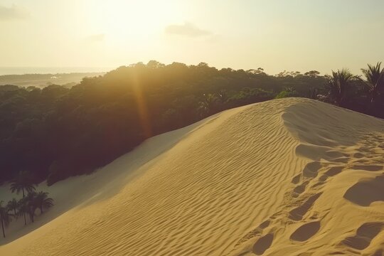 Golden dunes meet lush forest at sunrise