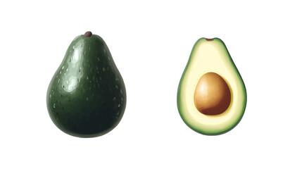 Avocado on a white background