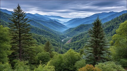 Fototapeta premium Smoky mountains shrouded in mystical mist, dramatic lighting, surreal atmosphere, enchanting scenery - spring woods hour