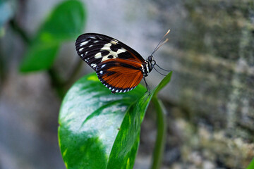Nature at its best 