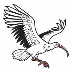 Cartoon White Ibis Bird Flying With Wings Open Illustration Vector