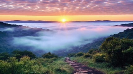 sunrise in the misty morning HD background wallpaper
