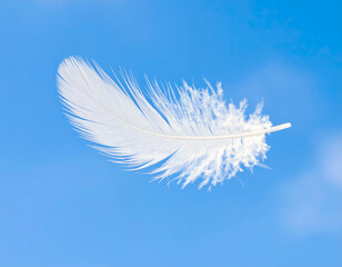 Obraz premium white feather on blue sky background