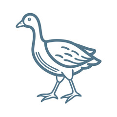 Simple Purple Gallinule Bird Line Art