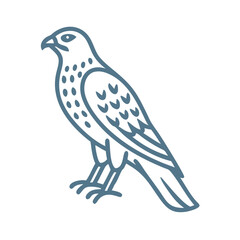 Fototapeta premium Cooper's Hawk Line Art Illustration Vector
