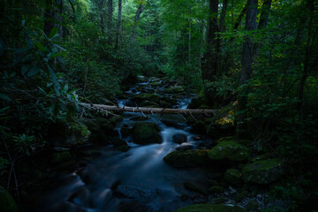 Moonlight Casts Shadows Across Jakes Creek In Summer © kellyvandellen